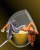 /album/fantasy/fantasy-013-gif/